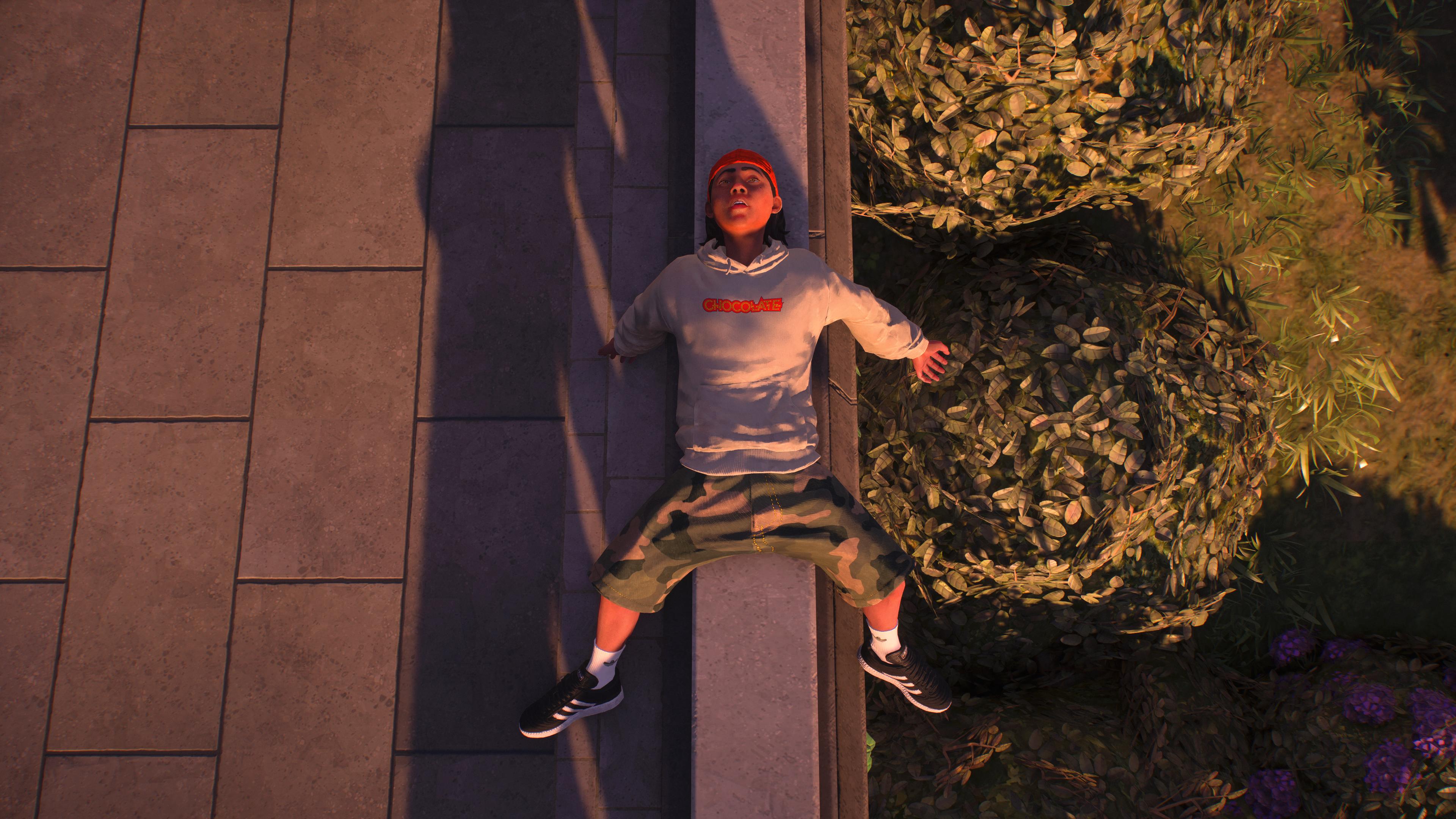 Ledge Lock — Bird's Eye